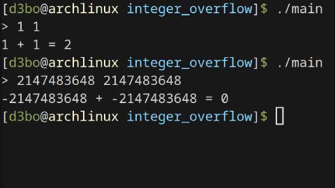 Integer Overflow