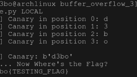 Buffer Overflow 3